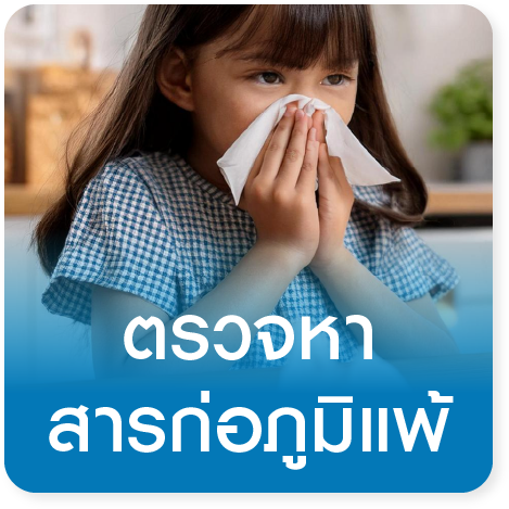 แพ็กเกจตรวจสารก่อภูมิแพ้ในเลือด Blood Test Allergy