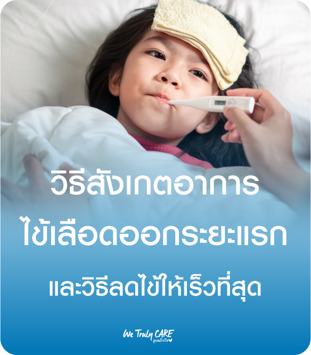 วิธีสังเกตอาการ ไข้เลือดออกระยะแรก และวิธีลดไข้ให้เร็วที่สุด