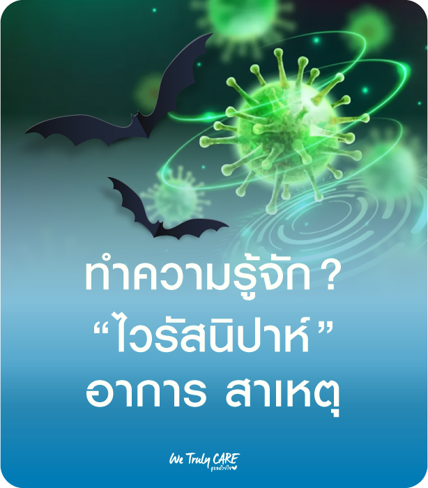 ทำความรู้จัก ไวรัสนิปาห์ อาการ สาเหตุ วิธีการป้องกัน