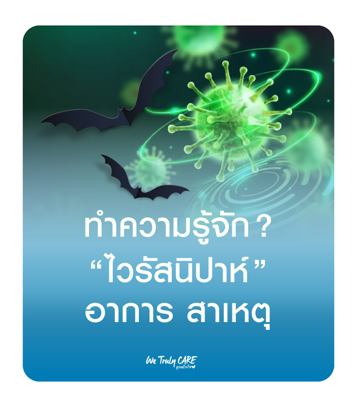 ทำความรู้จัก ไวรัสนิปาห์ อาการ สาเหตุ วิธีการป้องกัน